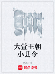 大萱王朝小县令