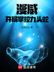 漫威：在下李三光