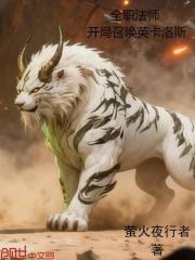 全职法师：开局召唤英卡洛斯