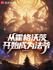 从霍格沃茨开始成为法爷