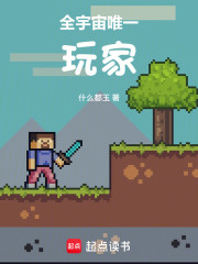 全宇宙唯一玩家