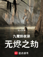 九霄烬夜录：无烬之劫