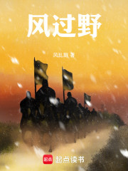 风过野