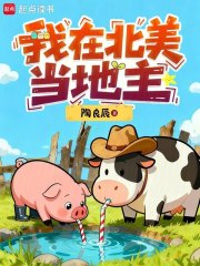 我在北美当地主
