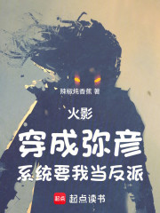 火影：穿成弥彦，系统要我当反派