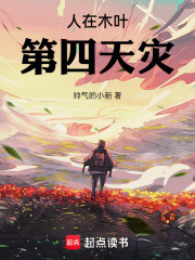 人在木叶，第四天灾