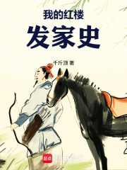 我的红楼发家史