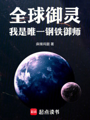 全球御灵：我是唯一钢铁御师
