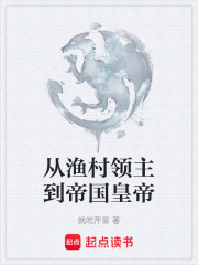 从渔村领主到帝国皇帝
