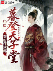 红楼：贾府伴读郎，暮登天子堂