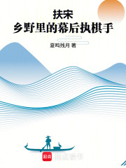 扶宋：乡野里的幕后执棋手