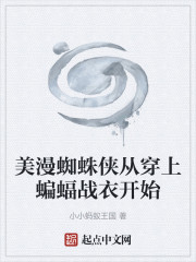 美漫蜘蛛侠从穿上蝙蝠战衣开始