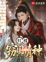 红楼：窃国情种