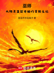 巫师：从精灵王国开始的冒险之旅