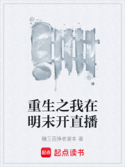 重生之我在明末开直播