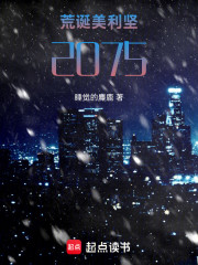 荒诞美利坚：2075