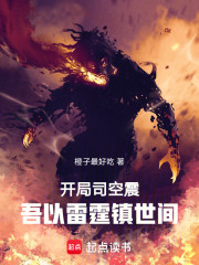 开局司空震，吾以雷霆镇世间！