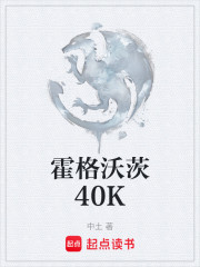 霍格沃茨40K