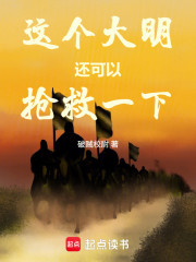 这个大明还可以抢救一下