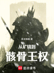 从矿镐到骸骨王权