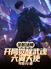 全职法师：开局觉醒武魂六翼天使