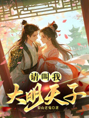 请叫我大明天子