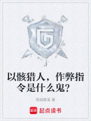 以骸猎人，作弊指令是什么鬼？