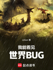 我能看见世界BUG