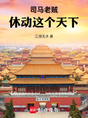 司马老贼，休动这个天下