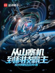 从山寨机，到科技霸主