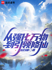 从强化万物，到引领修仙