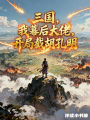 三国，我幕后大佬，开局截胡孔明