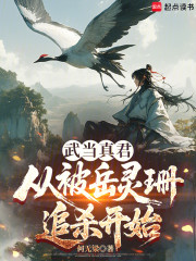 武当真君：从被岳灵珊追杀开始