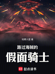 路过海贼的假面骑士