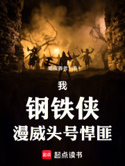 我，钢铁侠，漫威头号悍匪