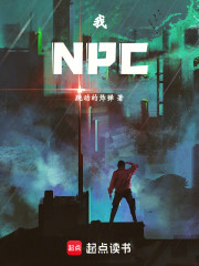 我，NPC