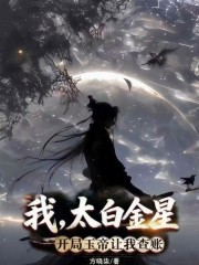 我，太白金星，开局玉帝让我查账