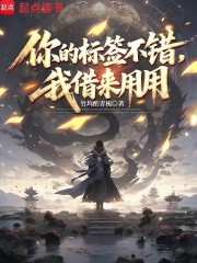 你的标签不错，我借来用用