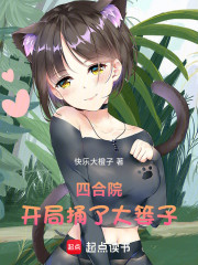 四合院：开局捅了大篓子