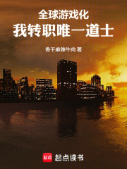 全球游戏化：我转职唯一道士