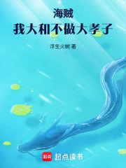 海贼：我大和不做大孝子