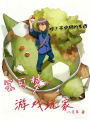 宝可梦的游戏玩家