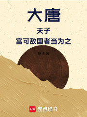 大唐：天子，富可敌国者当为之