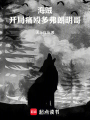 海贼：开局痛殴多弗朗明哥