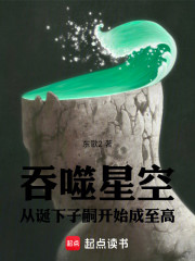 吞噬星空：从诞下子嗣开始成至高