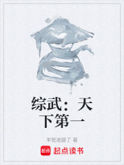 综武：天下第一