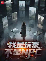 我是玩家，不是NPC