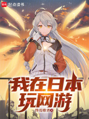 我在日本玩网游