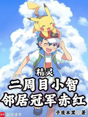 精灵：二周目小智，邻居冠军赤红