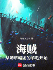 海贼：从薅草帽团的羊毛开始